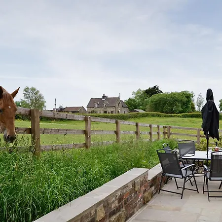 Shrubberies - Dc5472 Nyaraló